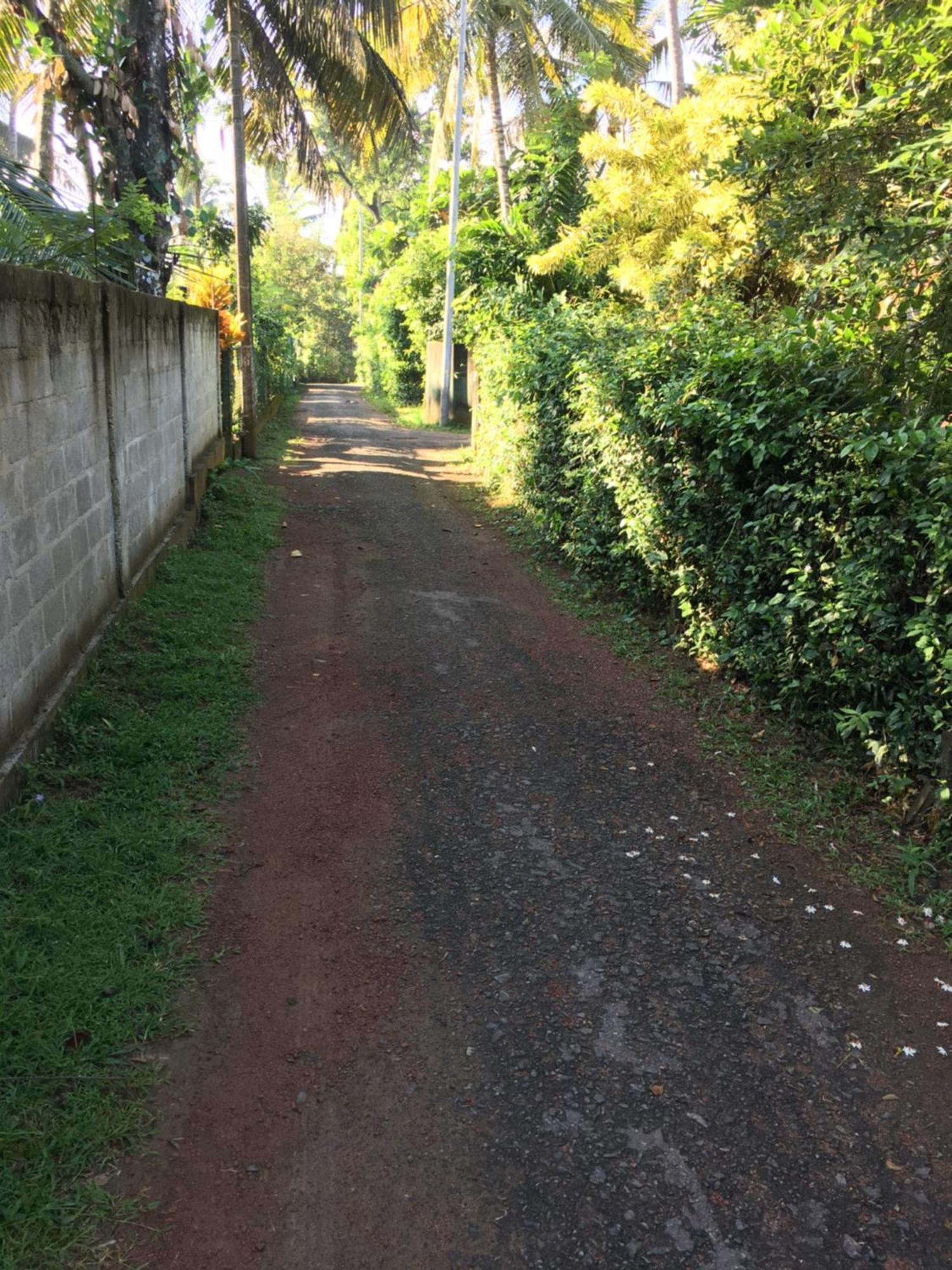 Bosadi Homestay 卡图纳耶克 外观 照片